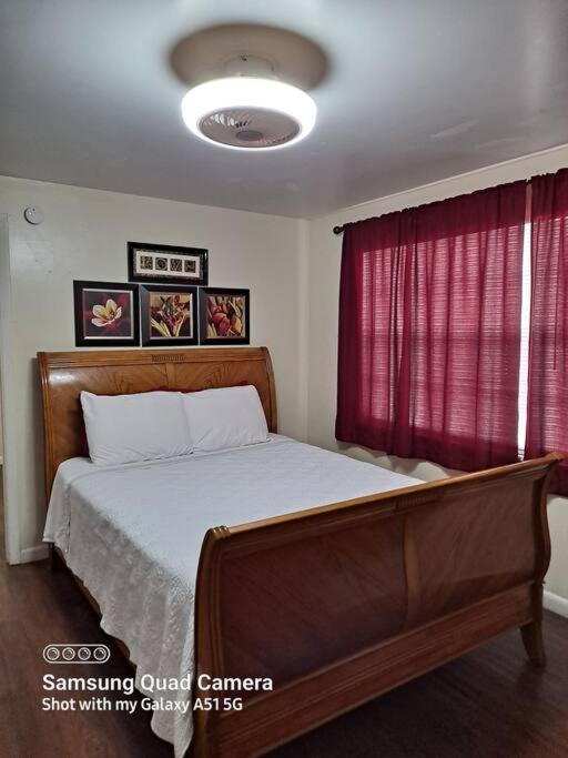 Green House Тампа Экстерьер фото