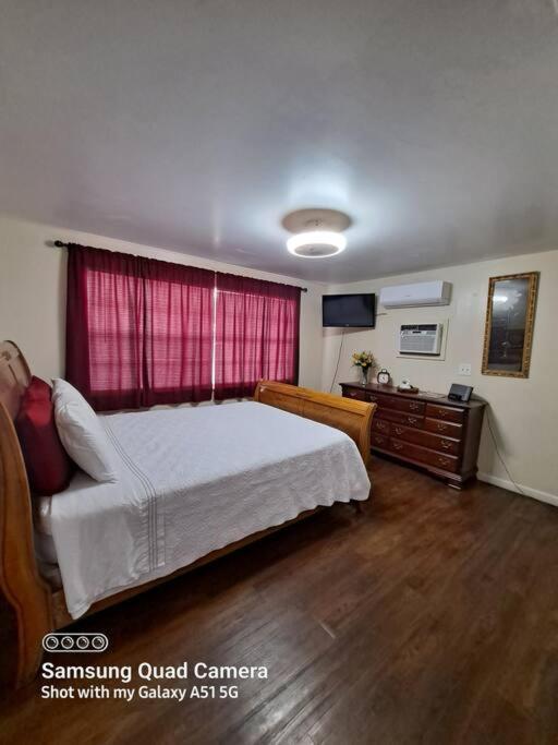 Green House Тампа Экстерьер фото